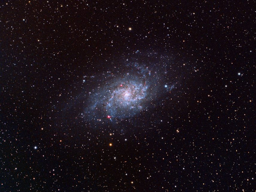 M33