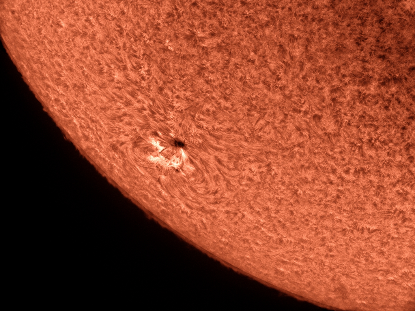 The Sun in Ha, Sept. 12, 2015