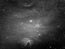 NGC2264